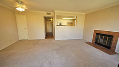 10151 Arrow #72 020