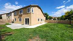 Backyard & Large Side Yard