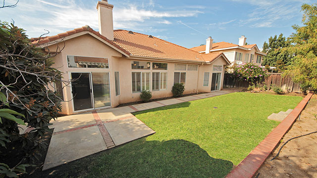 Backyard & Patio