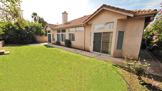 Backyard & Patio