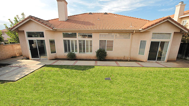 Backyard & Patio